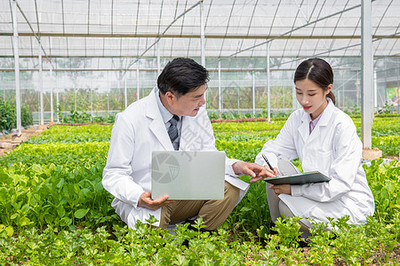 記錄植物生長的農(nóng)業(yè)科研人員