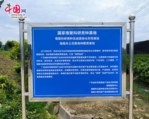 國(guó)家南繁科研育種基地又一項(xiàng)目落地 瓊粵合作打造沉香產(chǎn)業(yè)技術(shù)協(xié)同創(chuàng)新中心