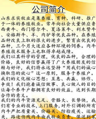 近期黃牛價(jià)格大型養(yǎng)殖場(chǎng)牛犢活體價(jià)格 動(dòng)物種苗