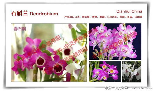 昆明芊卉賣家資格申請