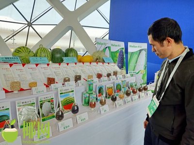小種子大產業 海南南繁成育種大平臺