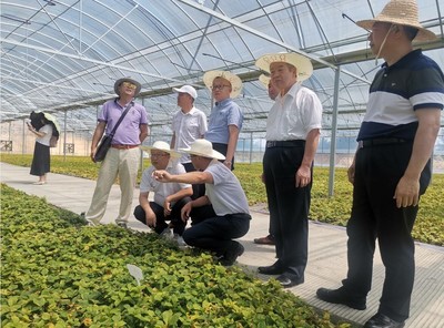 我院又一校企產學研合作項目通過驗收,實現成果轉化應用