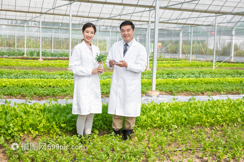 手捧植物的農業科研人員