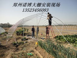 供求推薦