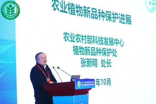 推進(jìn)種業(yè)振興 這個(gè)信息發(fā)布會上傳遞出了這些重磅內(nèi)容