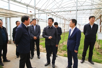 涿州教學(xué)實(shí)驗(yàn)場 新聞資訊 保定市委副書記王偉到我校涿州教學(xué)實(shí)驗(yàn)場現(xiàn)場辦公 推進(jìn)農(nóng)高區(qū)創(chuàng)建工作