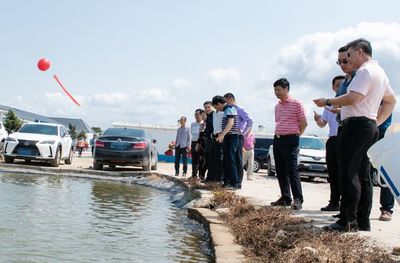 重投5000萬元!這家苗企再發力打造國家級水產良種場,重點選育海鱸、黃鰭鯛!