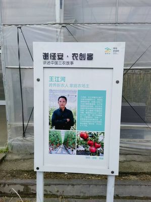 馬院教師赴傳化集團開展調研交流