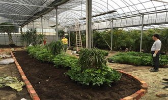 上海植物園