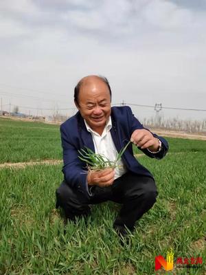 一粒種子半生夢--河北省勞動模范祖茂堂育種故事
