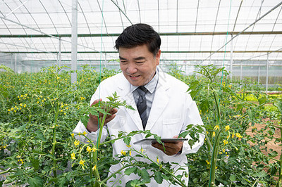 使用放大鏡觀察植物的農業科學家特寫