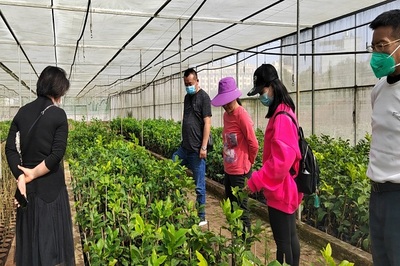 市農業農村局經作站查看檸檬種苗培育情況