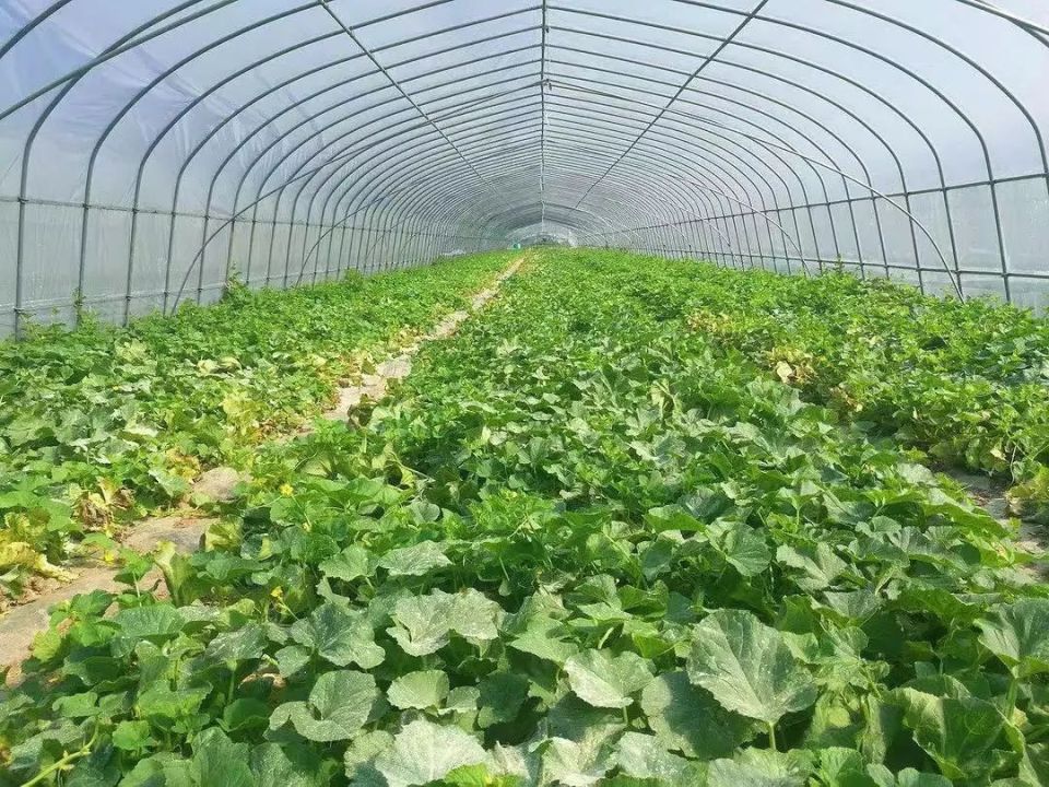 臺州市三甲街道大開發!5個項目等著大家來投資